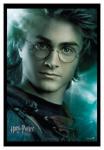               Je t'aime Harry Potter.....